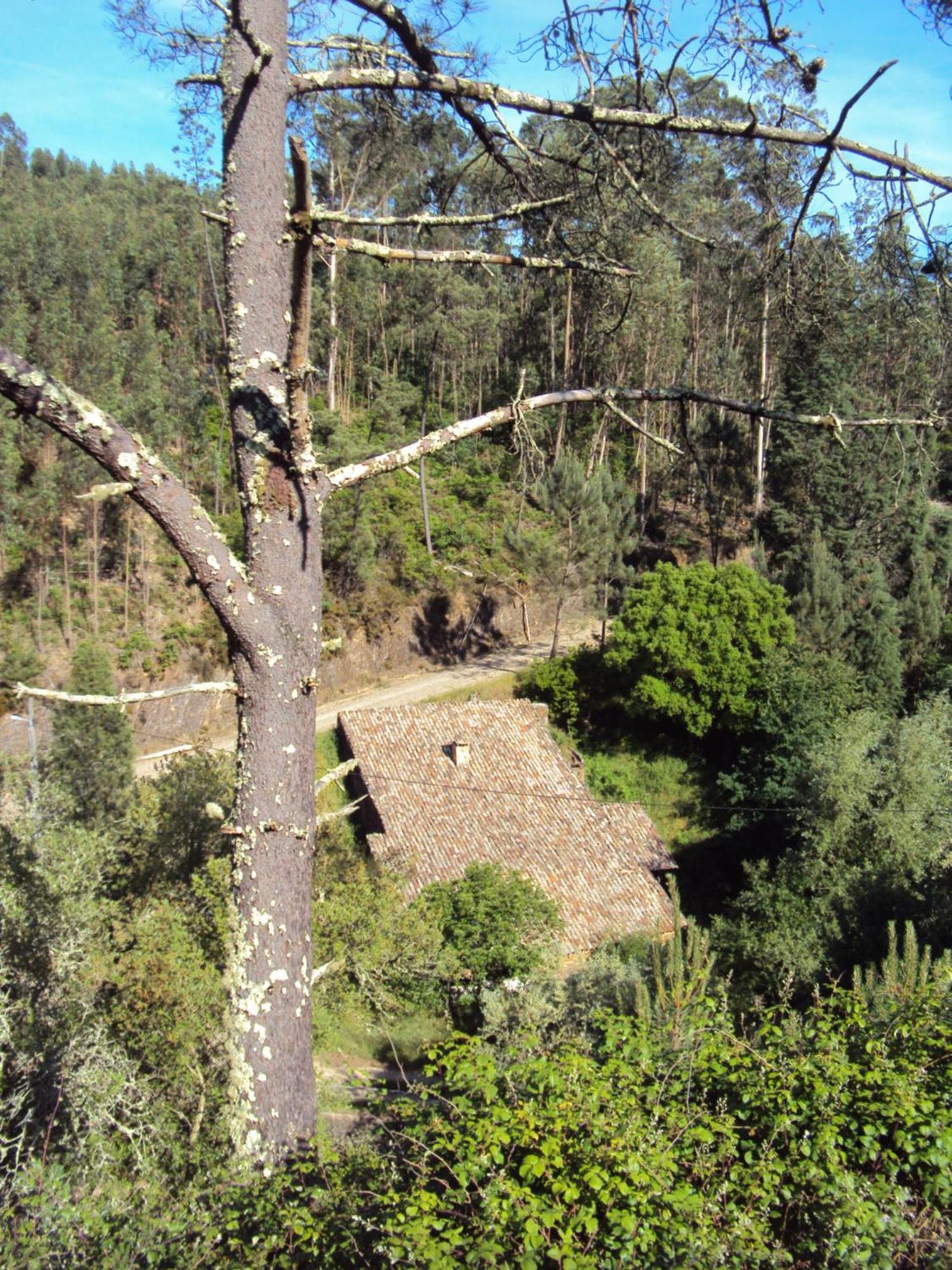 Parque Tematico Vale De Mouro Vila Exterior foto